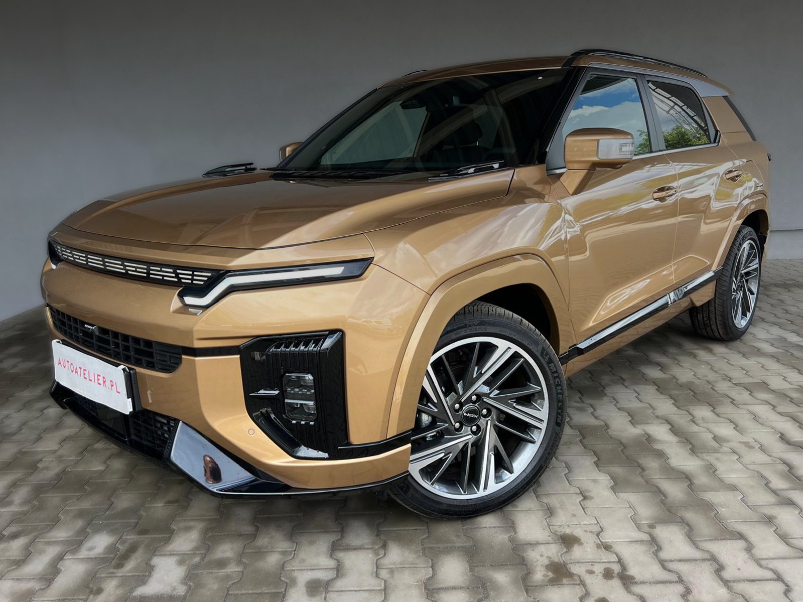 SsangYong/KGM Actyon 1.5 T-GDI Wild 4WD