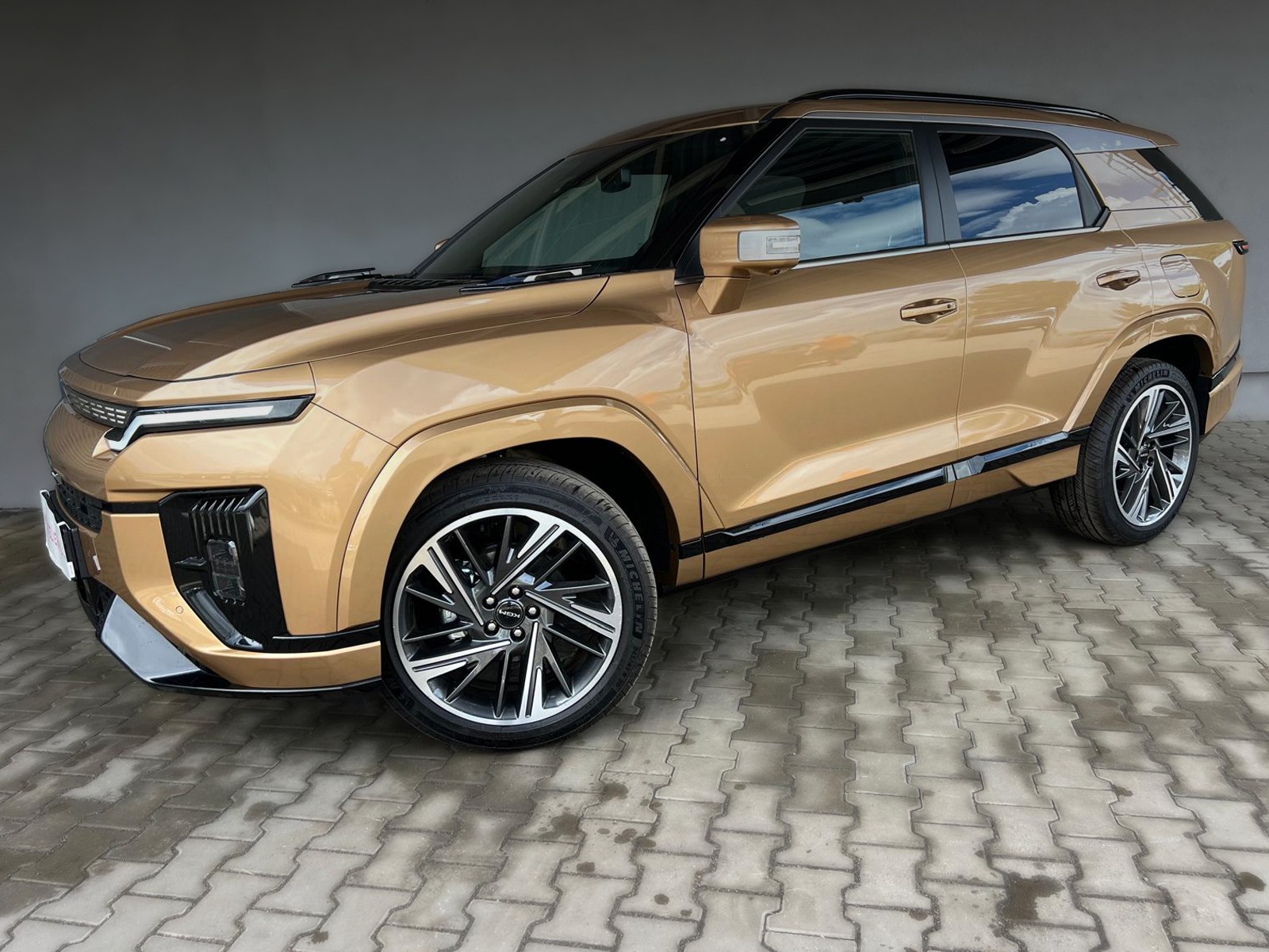 SsangYong/KGM Actyon 1.5 T-GDI Wild 4WD